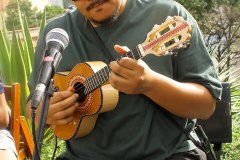 IMG_4137